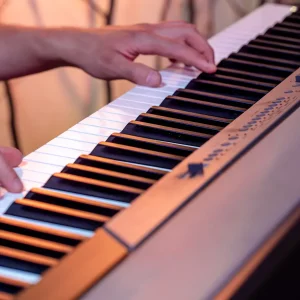 Organetas Y Sintetizadores