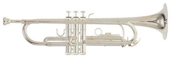 Trompeta Roy Benson Tr-202S