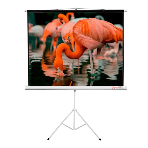 Telón de proyección Trípode HI-SCREEN 1.8×1.8 mt
