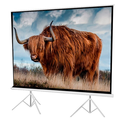 Telón de proyección Trípode HI-SCREEN 3×2.30 mt